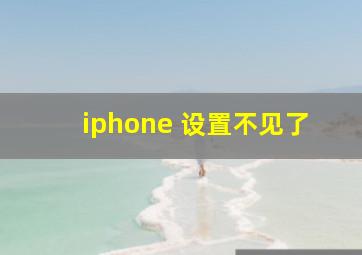 iphone 设置不见了